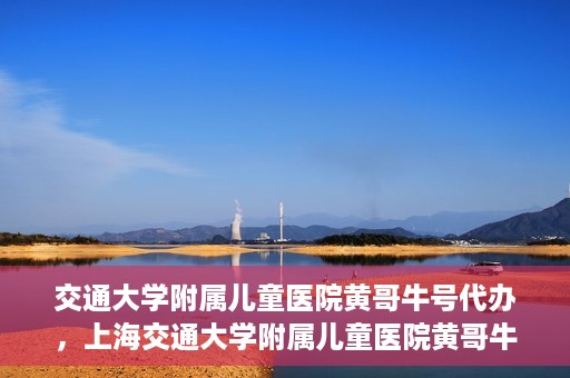 交通大学附属儿童医院黄哥牛号代办，上海交通大学附属儿童医院黄哥牛号代办揭秘，真相与警示