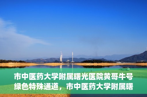 市中医药大学附属曙光医院黄哥牛号绿色特殊通道，市中医药大学附属曙光医院黄哥牛号，绿色特殊通道开启健康之门