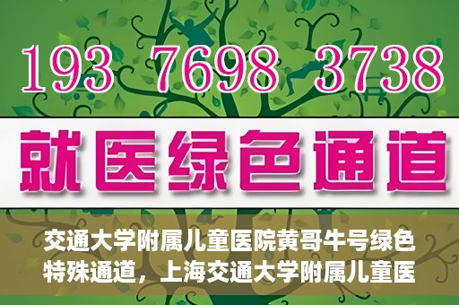 交通大学附属儿童医院黄哥牛号绿色特殊通道，上海交通大学附属儿童医院黄哥牛号绿色特殊通道揭秘