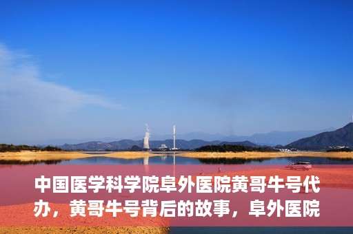 中国医学科学院阜外医院黄哥牛号代办，黄哥牛号背后的故事，阜外医院名医揭秘与医疗服务的深度解读