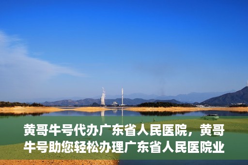 黄哥牛号代办广东省人民医院，黄哥牛号助您轻松办理广东省人民医院业务手续