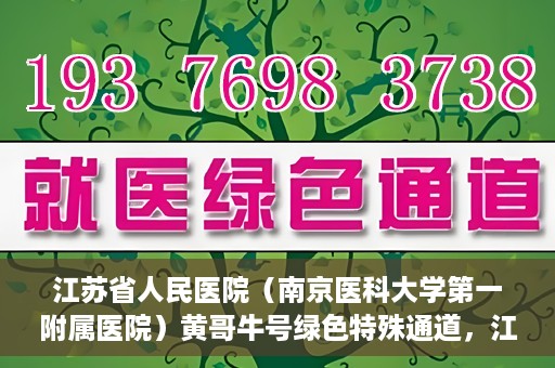 江苏省人民医院（南京医科大学第一附属医院）黄哥牛号绿色特殊通道，江苏省人民医院绿色特殊通道，黄哥牛号的医疗速度与温情服务