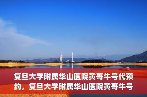 复旦大学附属华山医院黄哥牛号代预约，复旦大学附属华山医院黄哥牛号预约服务解析