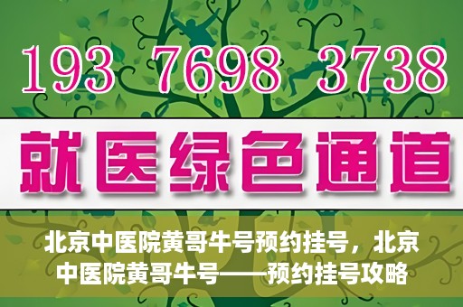 北京中医院黄哥牛号预约挂号，北京中医院黄哥牛号——预约挂号攻略