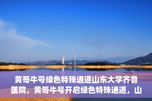 黄哥牛号绿色特殊通道山东大学齐鲁医院，黄哥牛号开启绿色特殊通道，山东大学齐鲁医院焕新篇章