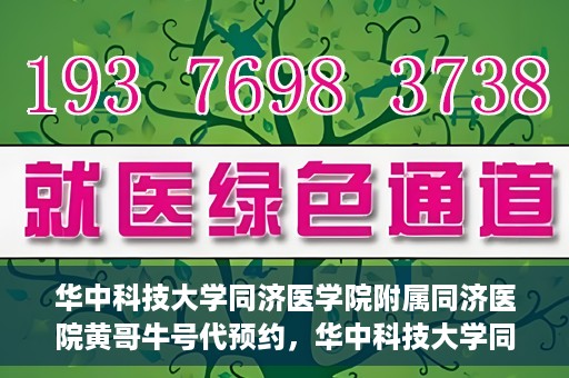 华中科技大学同济医学院附属同济医院黄哥牛号代预约，华中科技大学同济医院黄哥牛号预约服务解析
