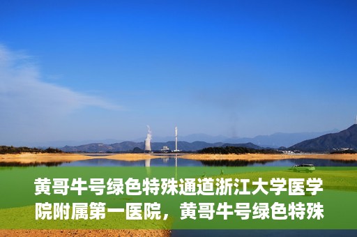 黄哥牛号绿色特殊通道浙江大学医学院附属第一医院，黄哥牛号绿色特殊通道，浙江大学医学院附属第一医院的探索与实践