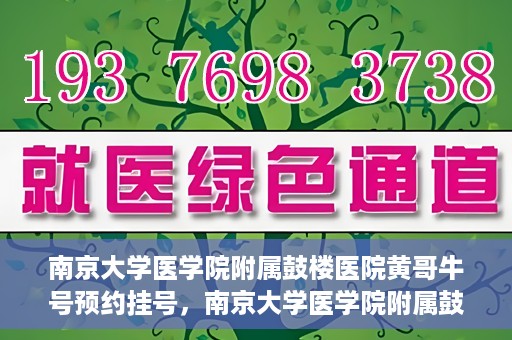 南京大学医学院附属鼓楼医院黄哥牛号预约挂号，南京大学医学院附属鼓楼医院黄哥牛号预约挂号攻略解析