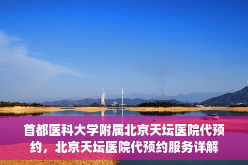 首都医科大学附属北京天坛医院代预约，北京天坛医院代预约服务详解