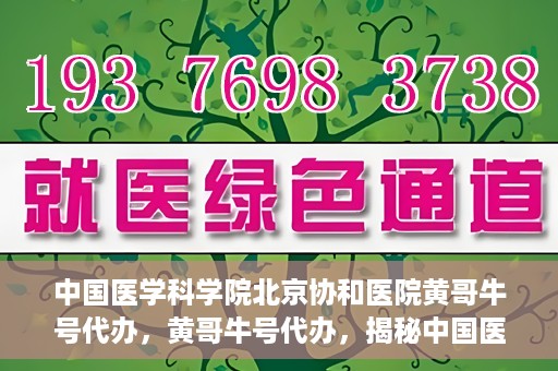 中国医学科学院北京协和医院黄哥牛号代办，黄哥牛号代办，揭秘中国医学科学院北京协和医院背后的故事