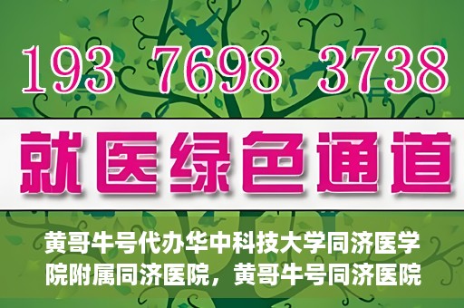黄哥牛号代办华中科技大学同济医学院附属同济医院，黄哥牛号同济医院代办服务，专业助力就医无忧！