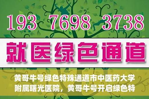 黄哥牛号绿色特殊通道市中医药大学附属曙光医院，黄哥牛号开启绿色特殊通道，市中医药大学附属曙光医院倾力打造健康新篇章