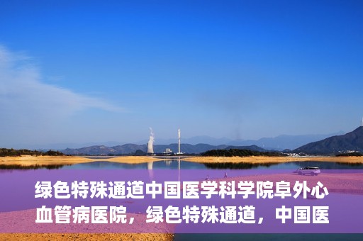 绿色特殊通道中国医学科学院阜外心血管病医院，绿色特殊通道，中国医学科学院阜外心血管病医院的探索与实践