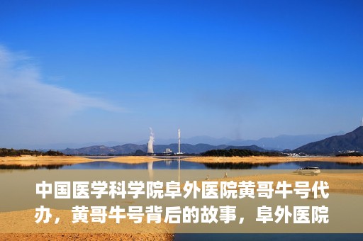 中国医学科学院阜外医院黄哥牛号代办，黄哥牛号背后的故事，阜外医院名医揭秘与医疗服务的深度解读