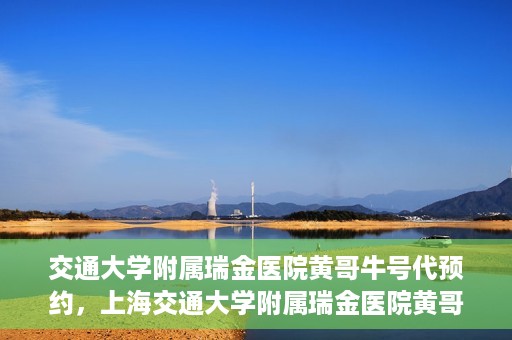 交通大学附属瑞金医院黄哥牛号代预约，上海交通大学附属瑞金医院黄哥牛号预约服务解析