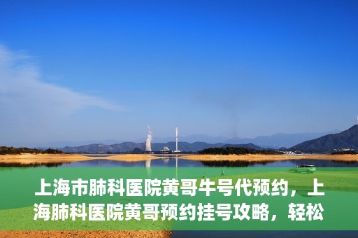 上海市肺科医院黄哥牛号代预约，上海肺科医院黄哥预约挂号攻略，轻松预约牛号