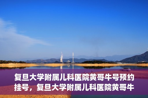 复旦大学附属儿科医院黄哥牛号预约挂号，复旦大学附属儿科医院黄哥牛号预约挂号攻略解析