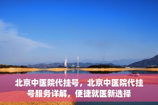 北京中医院代挂号，北京中医院代挂号服务详解，便捷就医新选择