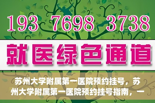 苏州大学附属第一医院预约挂号，苏州大学附属第一医院预约挂号指南，一站式解决您的就医难题