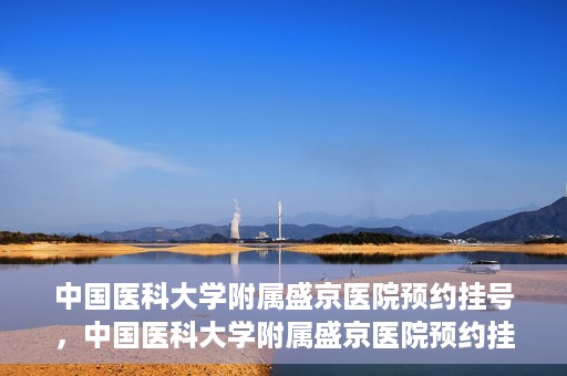 中国医科大学附属盛京医院预约挂号，中国医科大学附属盛京医院预约挂号指南，一站式解决您的挂号难题