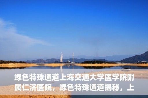 绿色特殊通道上海交通大学医学院附属仁济医院，绿色特殊通道揭秘，上海交通大学医学院附属仁济医院的探索与实践