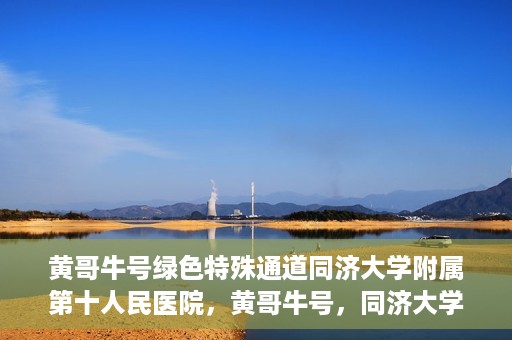 黄哥牛号绿色特殊通道同济大学附属第十人民医院，黄哥牛号，同济大学附属第十人民医院开启绿色特殊通道，助力健康前行