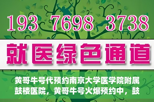 黄哥牛号代预约南京大学医学院附属鼓楼医院，黄哥牛号火爆预约中，鼓楼医院携手南京大学医学院开启健康新篇章