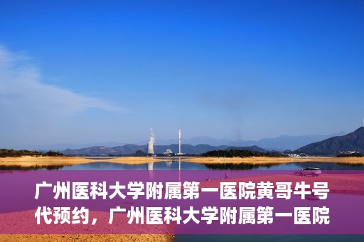 广州医科大学附属第一医院黄哥牛号代预约，广州医科大学附属第一医院黄哥名医号预约攻略