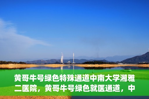 黄哥牛号绿色特殊通道中南大学湘雅二医院，黄哥牛号绿色就医通道，中南大学湘雅二医院特色服务揭秘