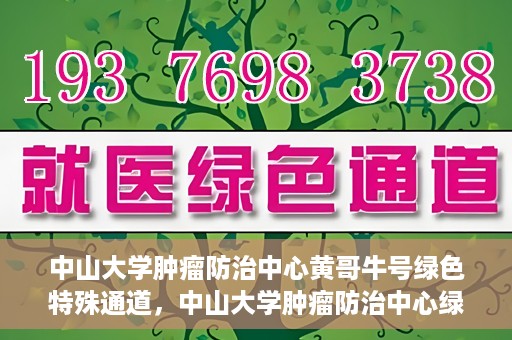 中山大学肿瘤防治中心黄哥牛号绿色特殊通道，中山大学肿瘤防治中心绿色特殊通道——黄哥牛号的守护力量