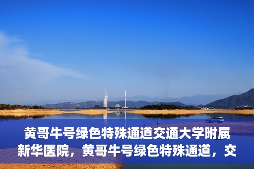 黄哥牛号绿色特殊通道交通大学附属新华医院，黄哥牛号绿色特殊通道，交通大学附属新华医院的探索与实践