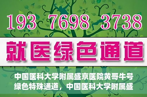 中国医科大学附属盛京医院黄哥牛号绿色特殊通道，中国医科大学附属盛京医院黄哥牛号，绿色特殊通道开启健康之门