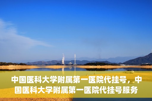 中国医科大学附属第一医院代挂号，中国医科大学附属第一医院代挂号服务详解