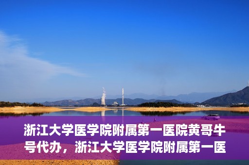浙江大学医学院附属第一医院黄哥牛号代办，浙江大学医学院附属第一医院黄哥牛号业务代办全攻略