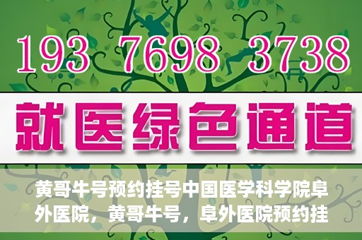 黄哥牛号预约挂号中国医学科学院阜外医院，黄哥牛号，阜外医院预约挂号服务启动，中国医学科学院挂号新体验