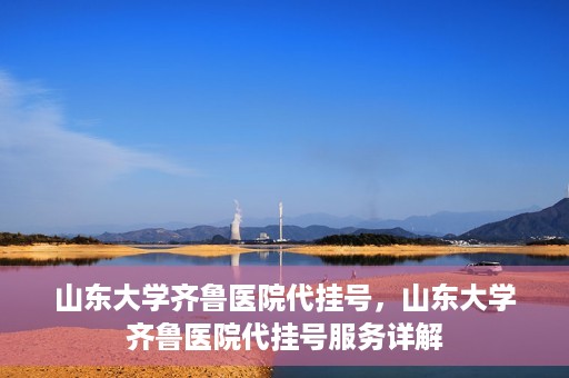 山东大学齐鲁医院代挂号，山东大学齐鲁医院代挂号服务详解