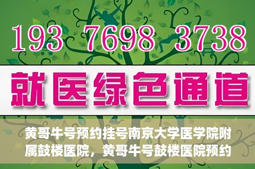 黄哥牛号预约挂号南京大学医学院附属鼓楼医院，黄哥牛号鼓楼医院预约挂号启动，便捷就医新体验