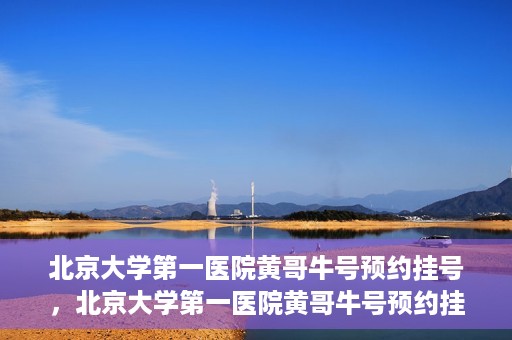 北京大学第一医院黄哥牛号预约挂号，北京大学第一医院黄哥牛号预约挂号攻略，轻松挂号，无忧就医体验