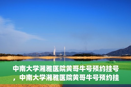 中南大学湘雅医院黄哥牛号预约挂号，中南大学湘雅医院黄哥牛号预约挂号攻略，轻松挂号，无忧就医体验