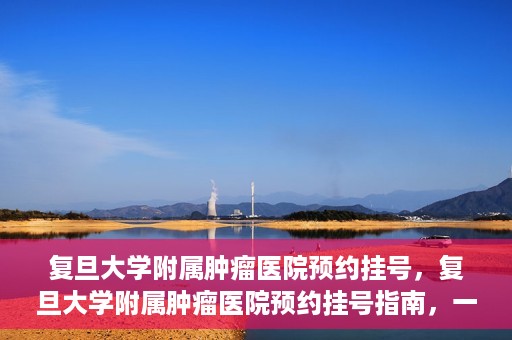 复旦大学附属肿瘤医院预约挂号，复旦大学附属肿瘤医院预约挂号指南，一站式解决您的就医难题