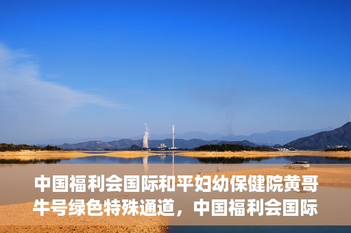 中国福利会国际和平妇幼保健院黄哥牛号绿色特殊通道，中国福利会国际和平妇幼保健院开设黄哥牛号绿色特殊通道，助力母婴健康关爱行动