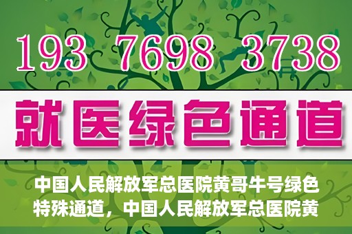 中国人民解放军总医院黄哥牛号绿色特殊通道，中国人民解放军总医院黄哥牛号，绿色特殊通道开启健康之门