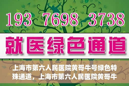 上海市第六人民医院黄哥牛号绿色特殊通道，上海市第六人民医院黄哥牛号，绿色特殊通道开启