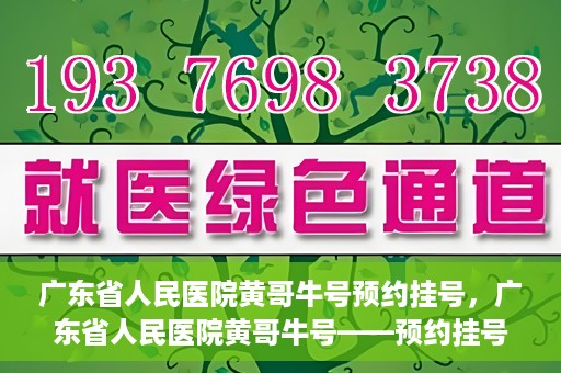 广东省人民医院黄哥牛号预约挂号，广东省人民医院黄哥牛号——预约挂号攻略