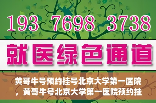 黄哥牛号预约挂号北京大学第一医院，黄哥牛号北京大学第一医院预约挂号攻略