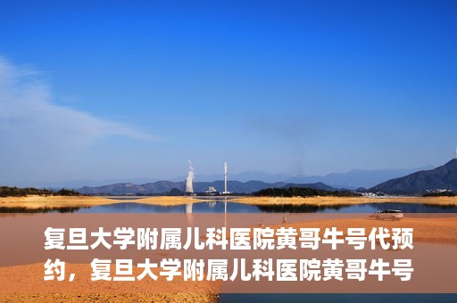 复旦大学附属儿科医院黄哥牛号代预约，复旦大学附属儿科医院黄哥牛号预约服务解析