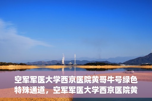 空军军医大学西京医院黄哥牛号绿色特殊通道，空军军医大学西京医院黄哥牛号，绿色特殊通道开启健康之门
