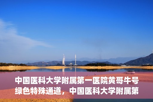 中国医科大学附属第一医院黄哥牛号绿色特殊通道，中国医科大学附属第一医院黄哥牛号，绿色特殊通道的开启与探索