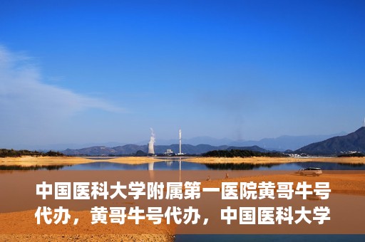 中国医科大学附属第一医院黄哥牛号代办，黄哥牛号代办，中国医科大学附属第一医院挂号服务新动向