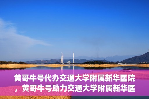 黄哥牛号代办交通大学附属新华医院，黄哥牛号助力交通大学附属新华医院代办服务